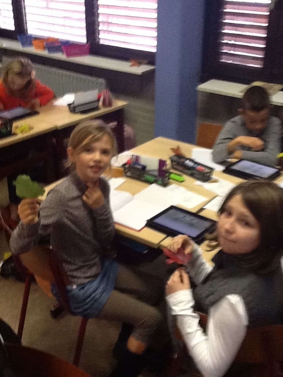 Rood of groen meester