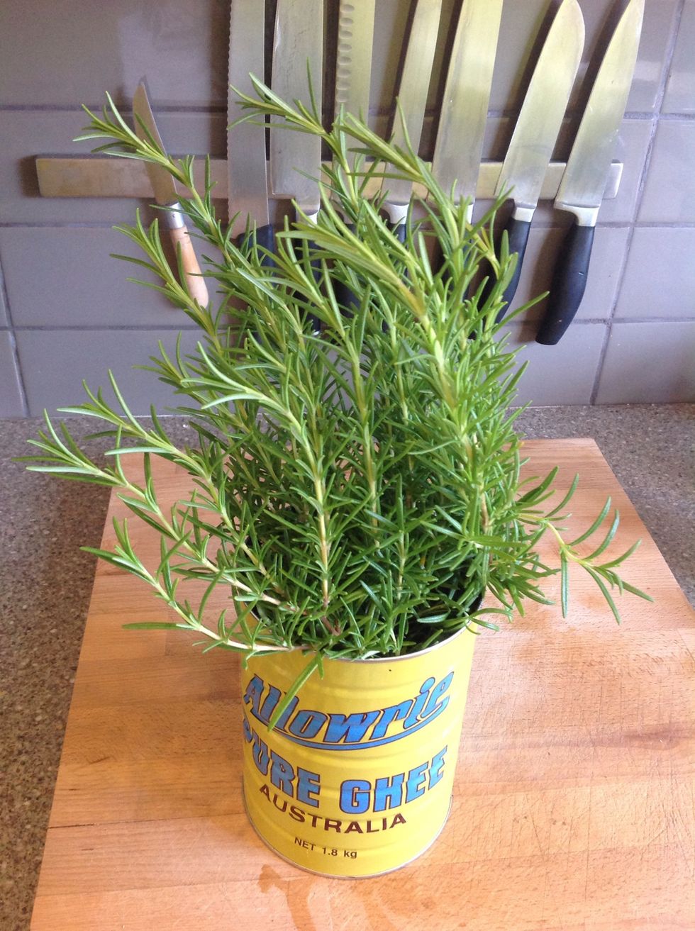 Rosemary