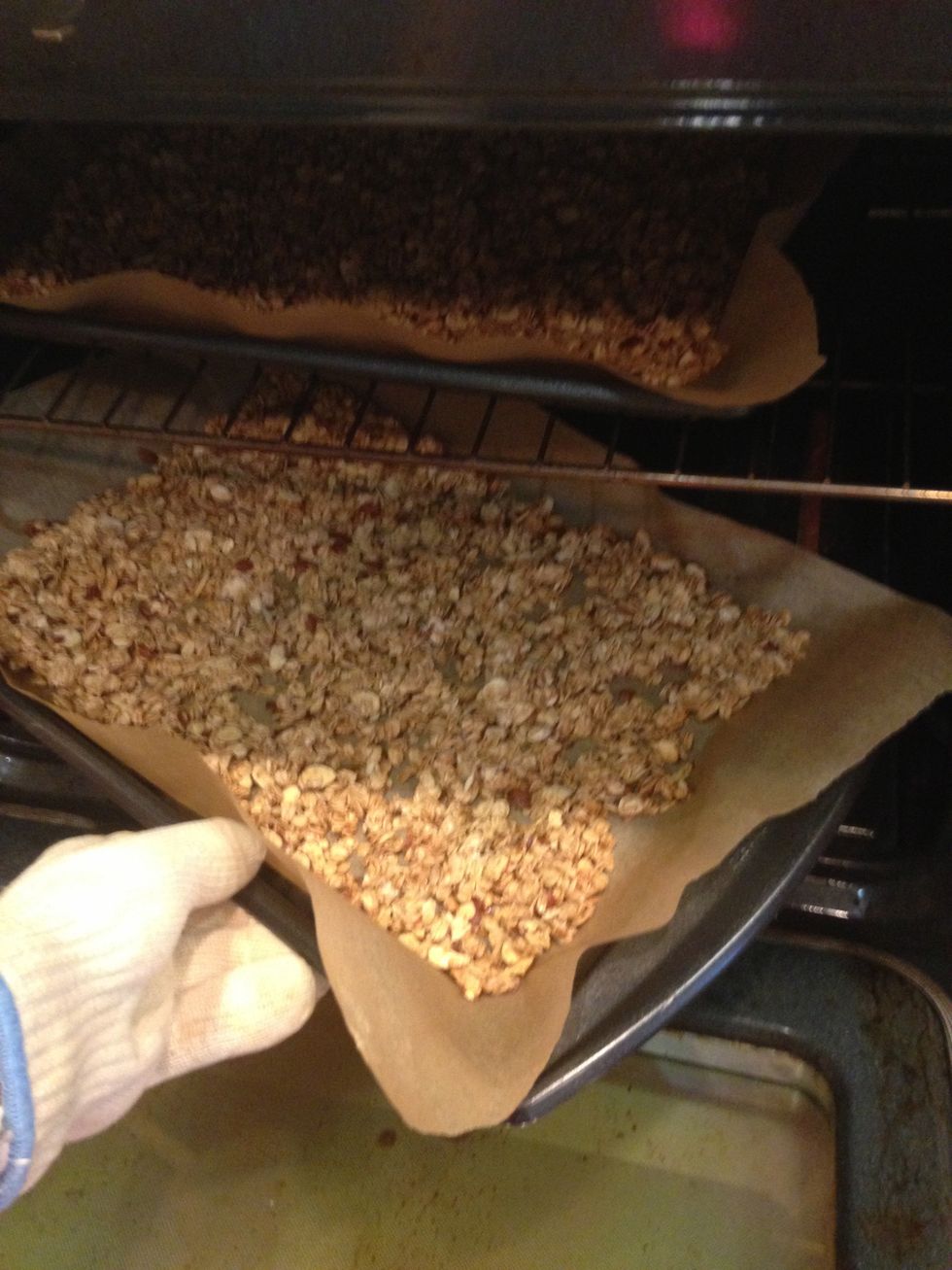 Rotate the pans after 15 minutes and bake another 5 minutes until lightly browned. 10 more minutes will give you a dark brown. Be sure not to burn!