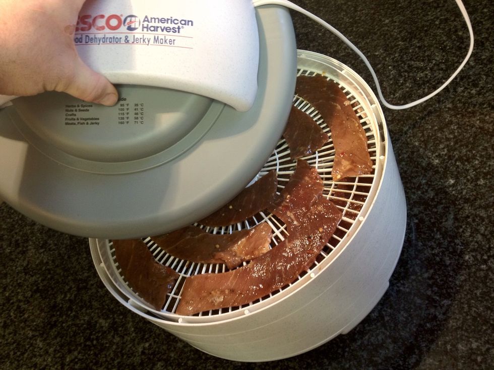 Rotate trays every hour (or so.) Outer edges dry faster than inner, so I rotate position too sometimes.