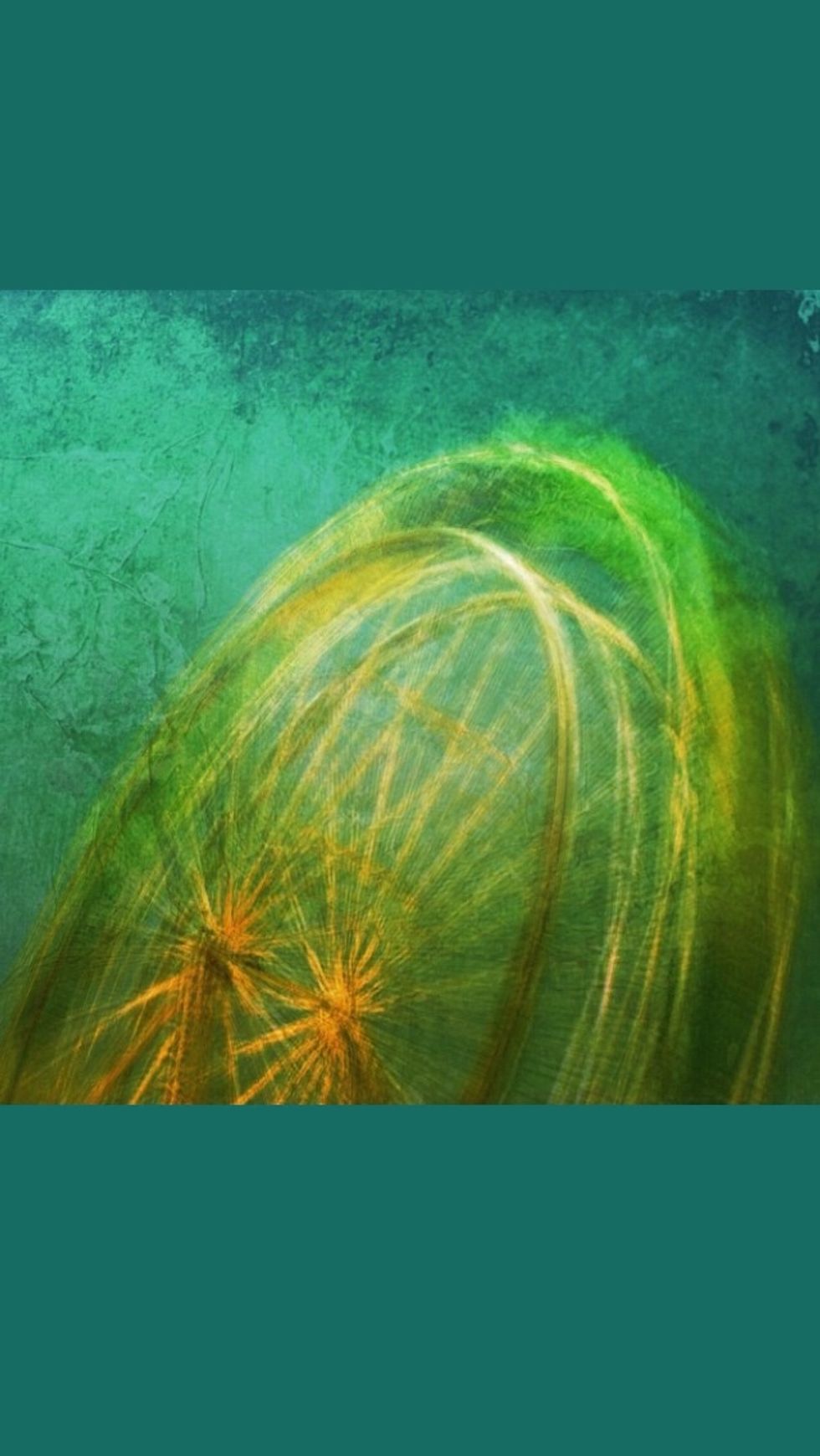 Rotating or revolving objects are also great. This is a Ferris wheel in motion.