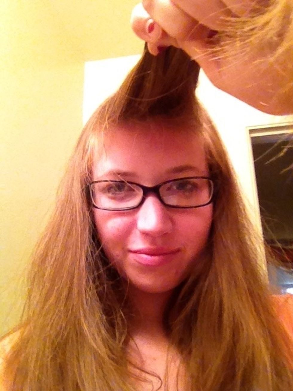 Roughly section the hair.