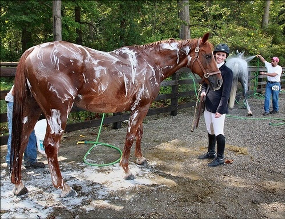 Rub soap on horse all over to get dirt off