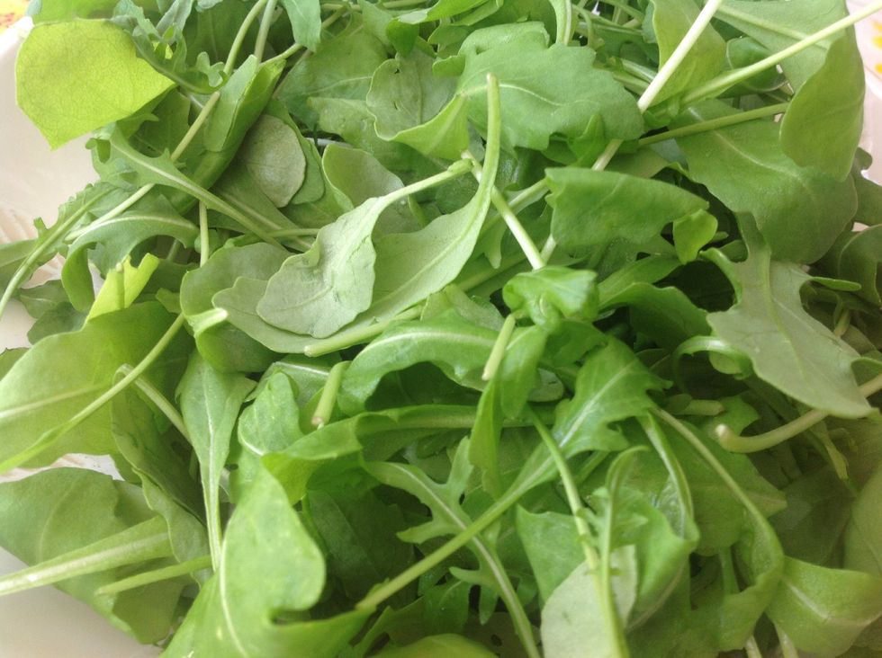 Rucola, rocket spicy salad (Erula vesicaria a plant of Brassicaceae Family)
