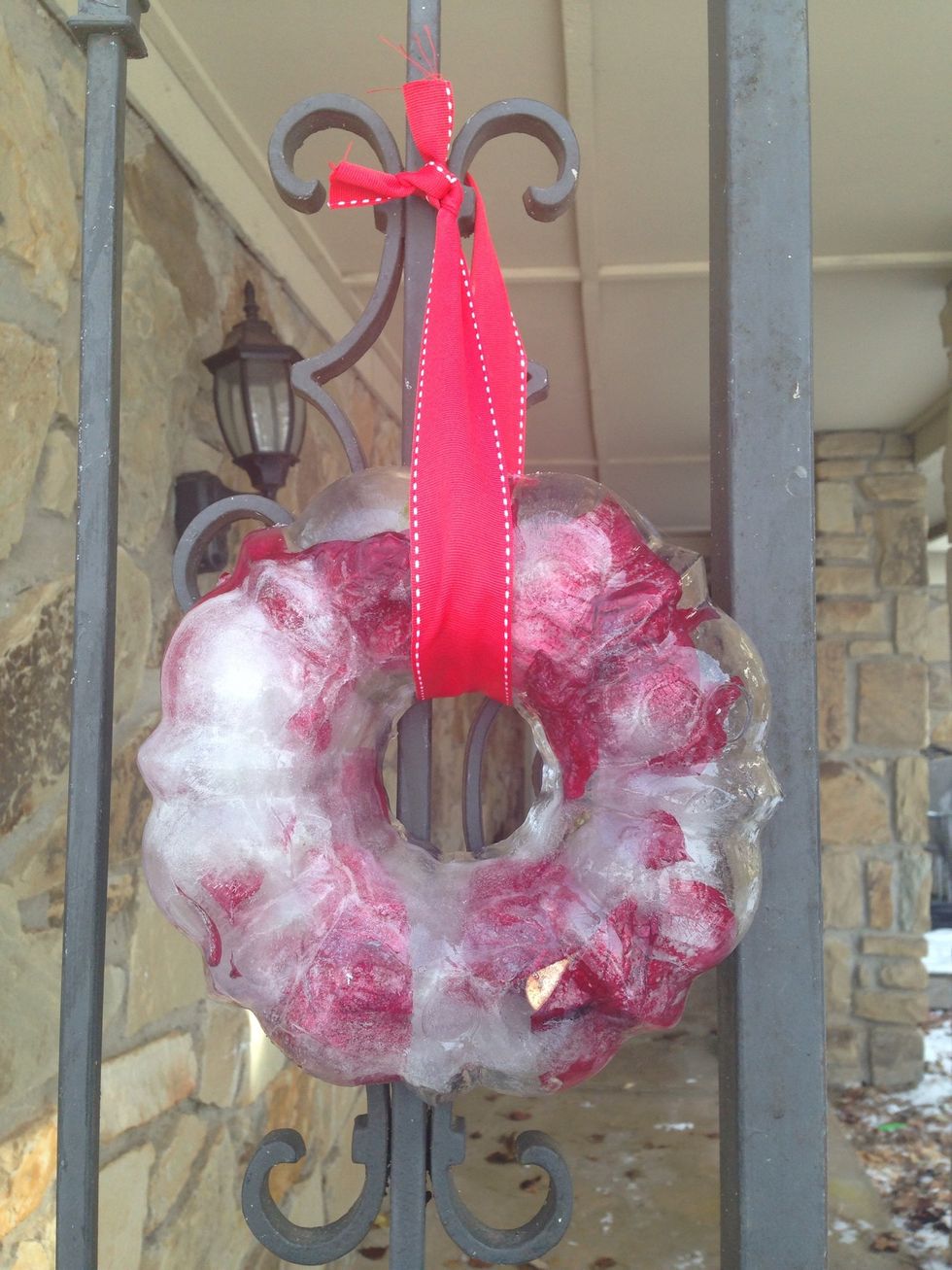 Run warm water over outside of Bundt pan to loosen ice. Turn over, tie with ribbon and hang outside! (You'll notice I jostled a penny when it was not done freezing, hence the note in previous photo)