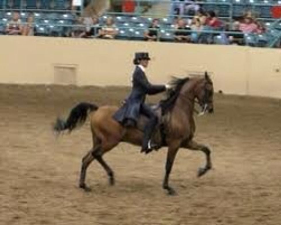 Saddle seat..