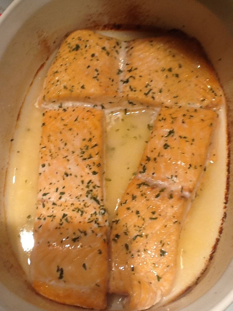 Salmon