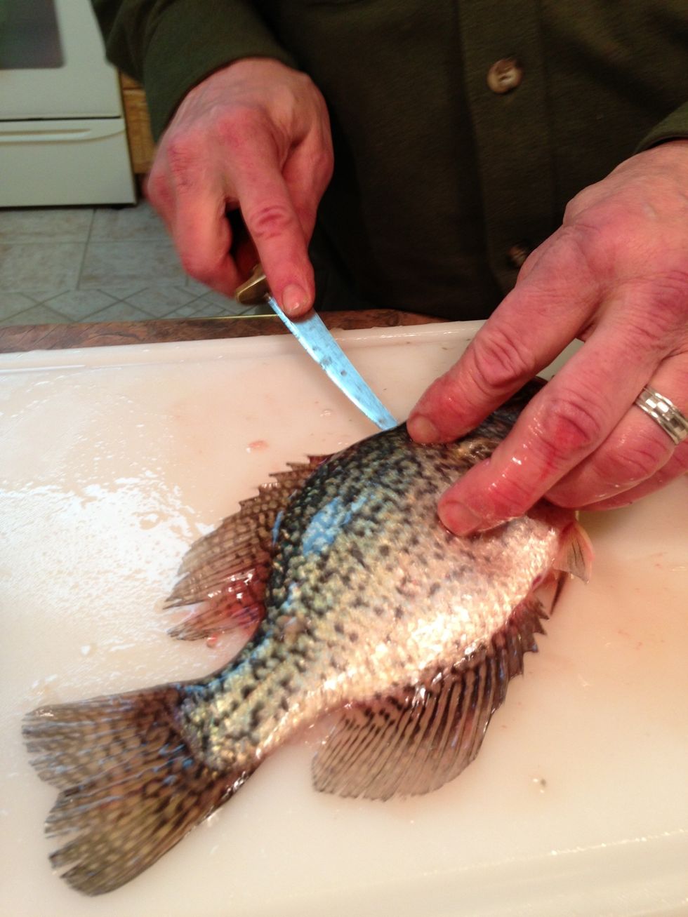 Same method for Crappie (pictured), Bass, Perch and Walleye.