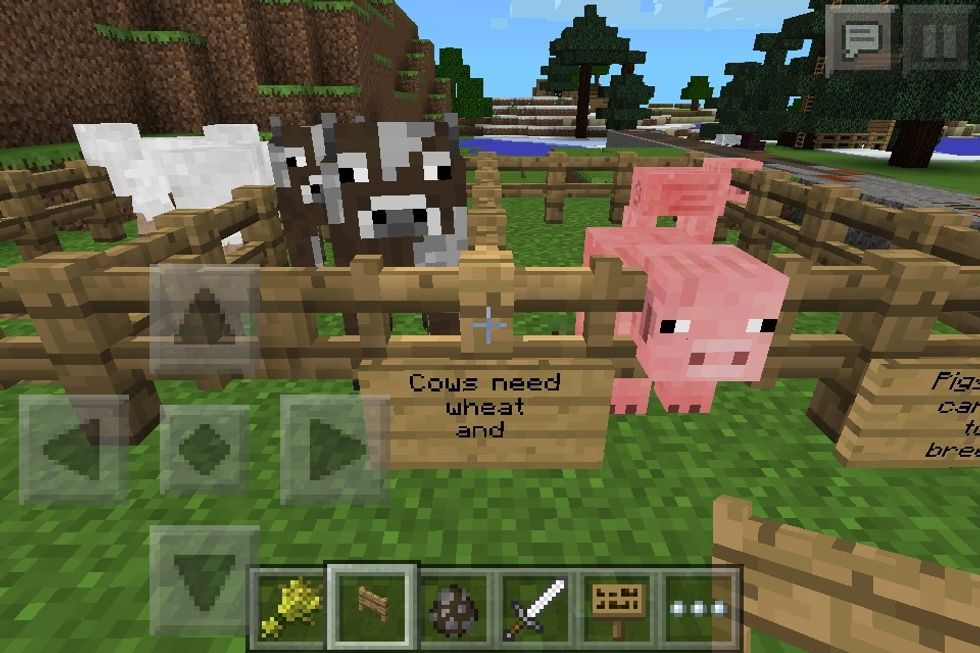 Same with cows and sheep except\u2026
