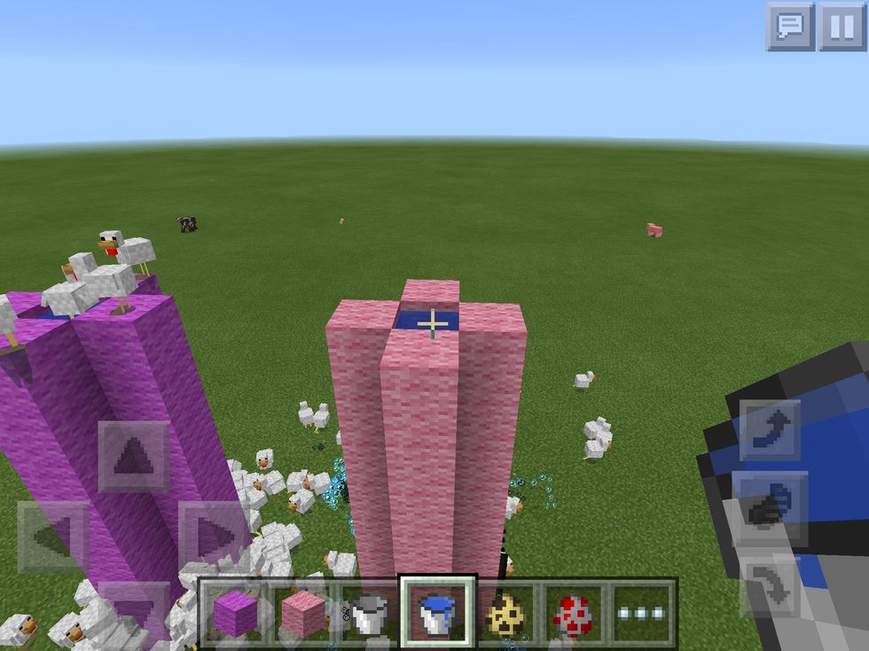 Same with the cats...