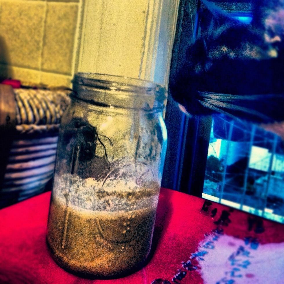 Sammy always wants to participate in my kitchen experiments. Later i will find somewhere cat proof so he doesn't decide to liberate our bread making friends in the night.