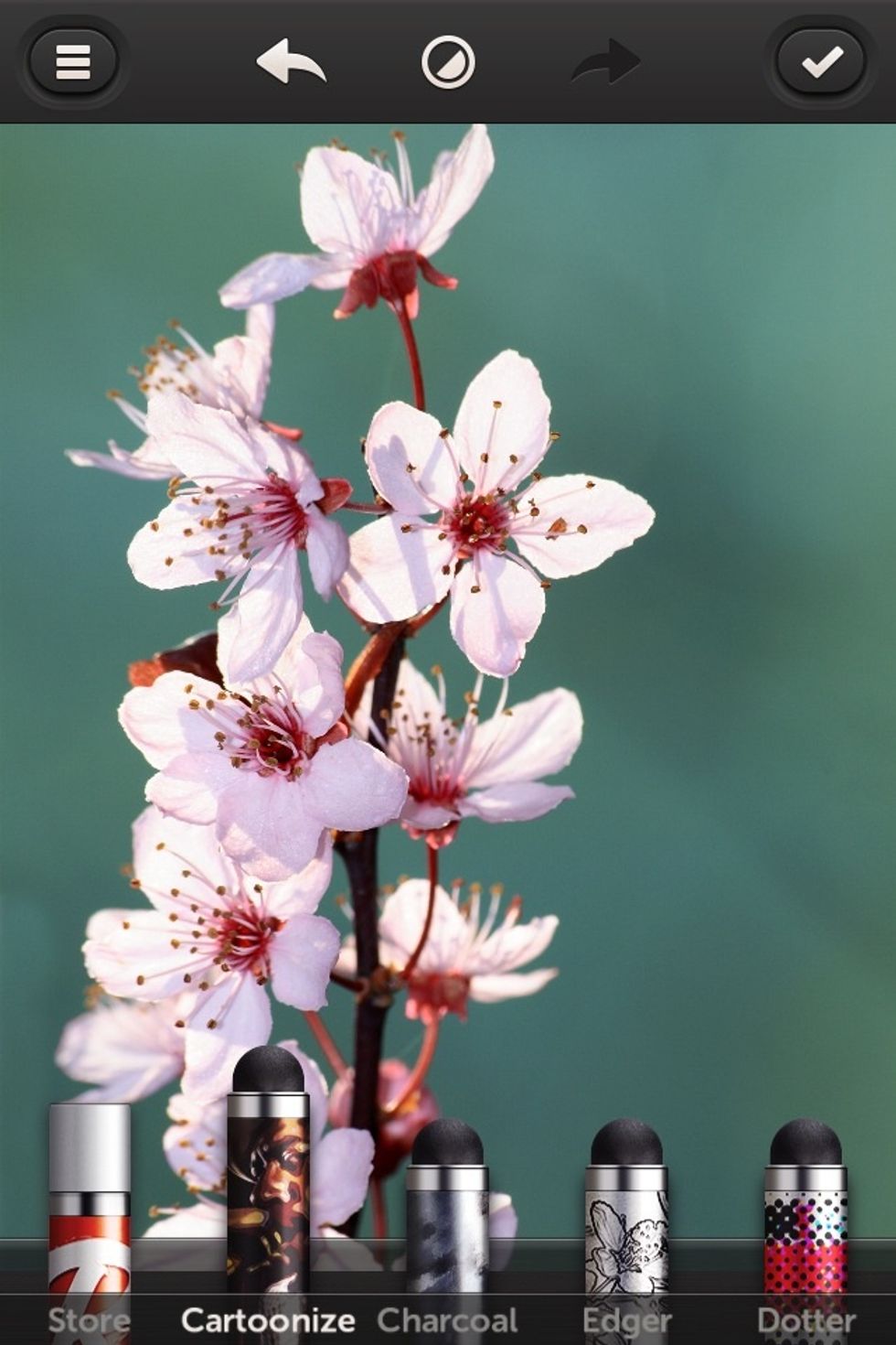 Sample image. Play with the brushes so you can get your desired photo effect.