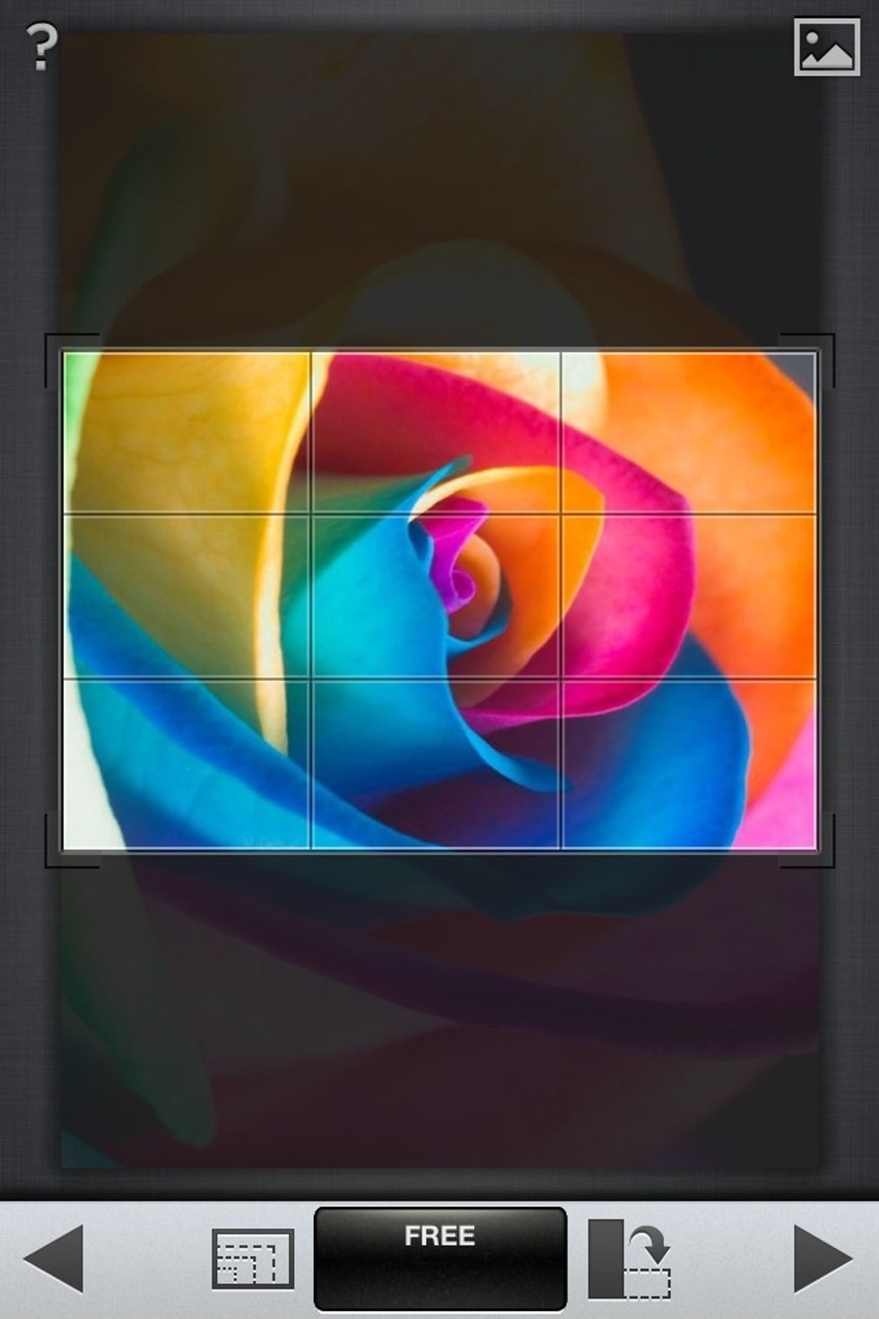 Sample of a Crop adjustment.