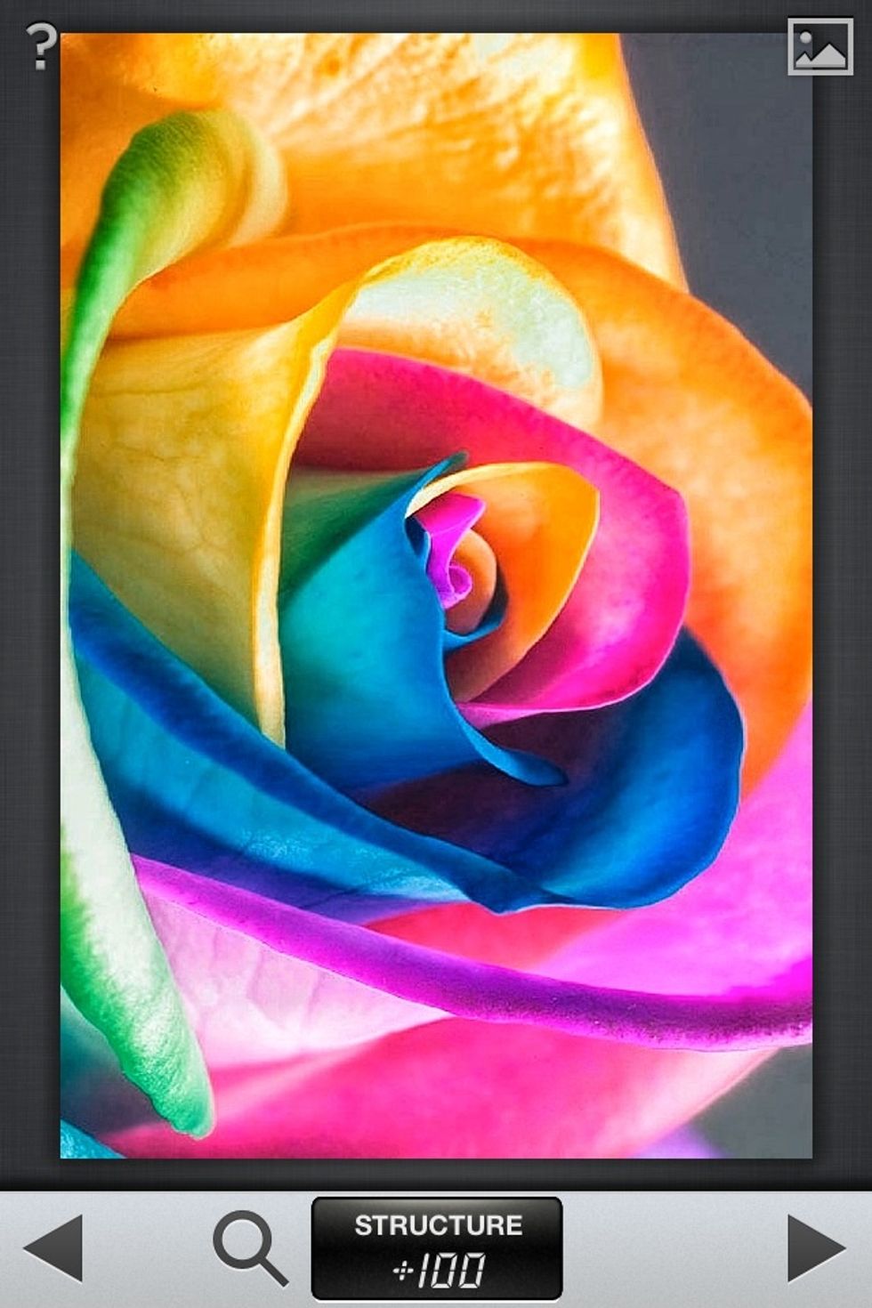 Sample of a Details adjustment.