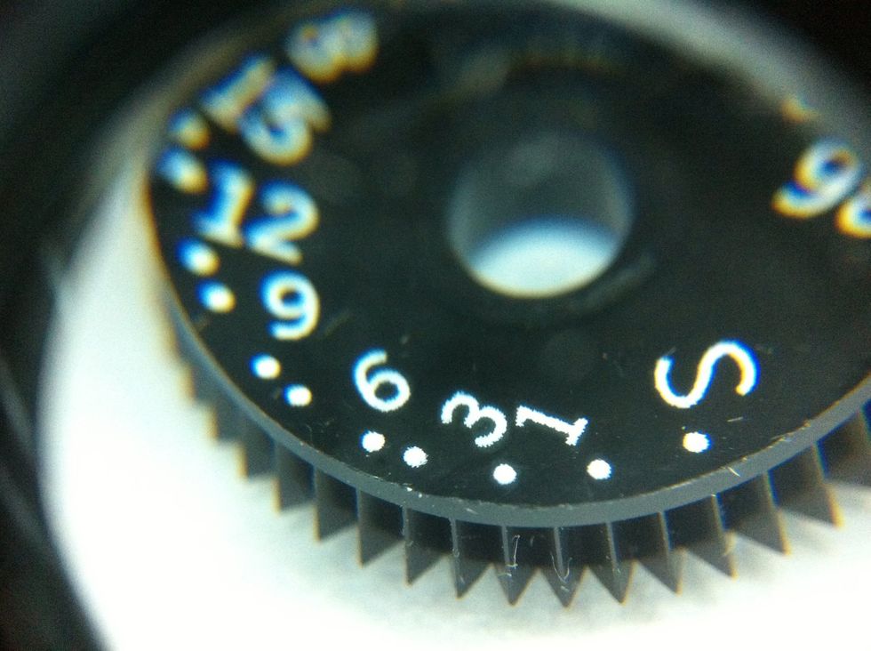 Sample photo using macro lens inside O ring LED lighting