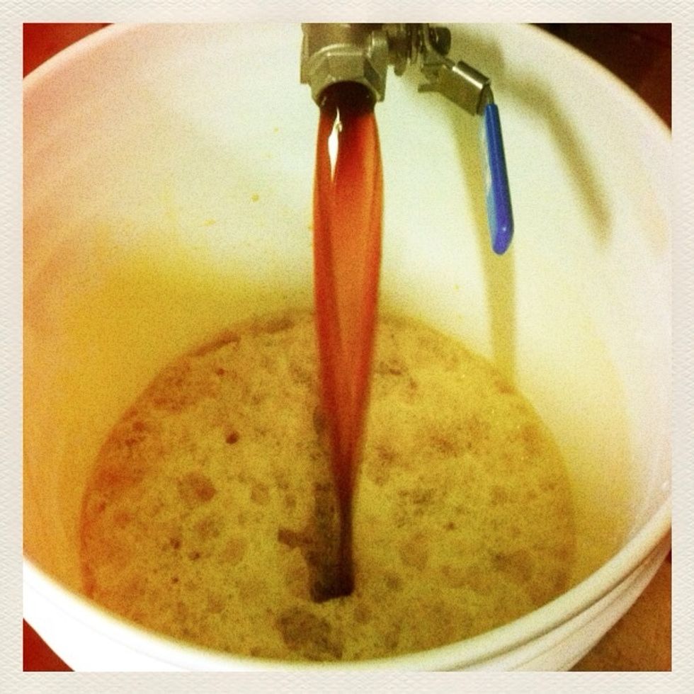 Sanitize fermenting equipment and yeast pack. Fill primary fermenter (brew bucket or carboy) with two gallons of distilled water. Pour in cooled wort, leaving any sludge at the bottom of the kettle.