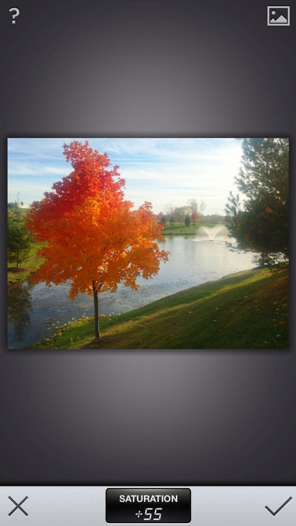 Saturation determines how bright your colors are. An image with no saturation is black and white. Here the saturation is turned up to 55 to bring out the orange in the tree.