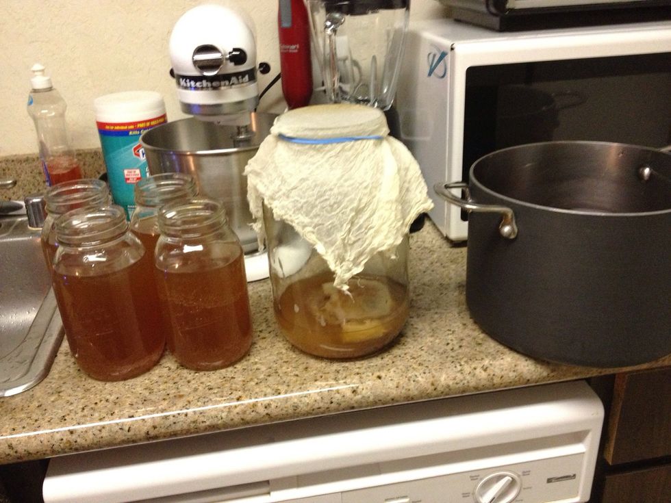 Save 2 cups of tea with SCOBY for new brew. Every other batch I remove the SCOBY and clean the jar of any sediment.