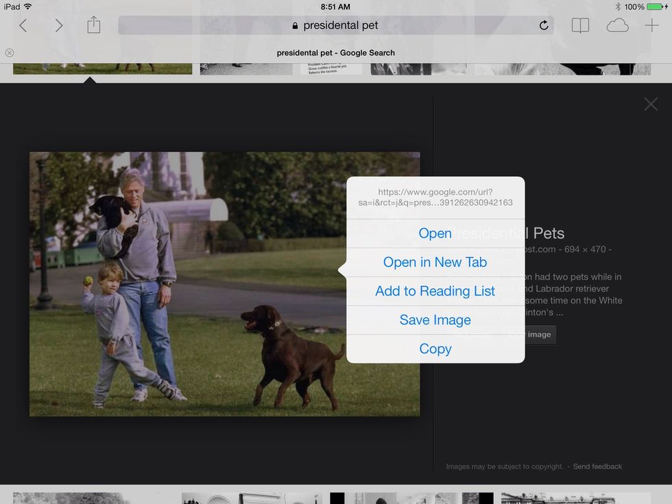 Save image to the iPad camera roll.