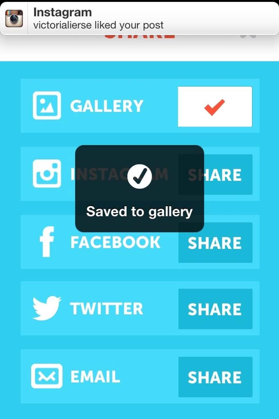 Save to gallery
