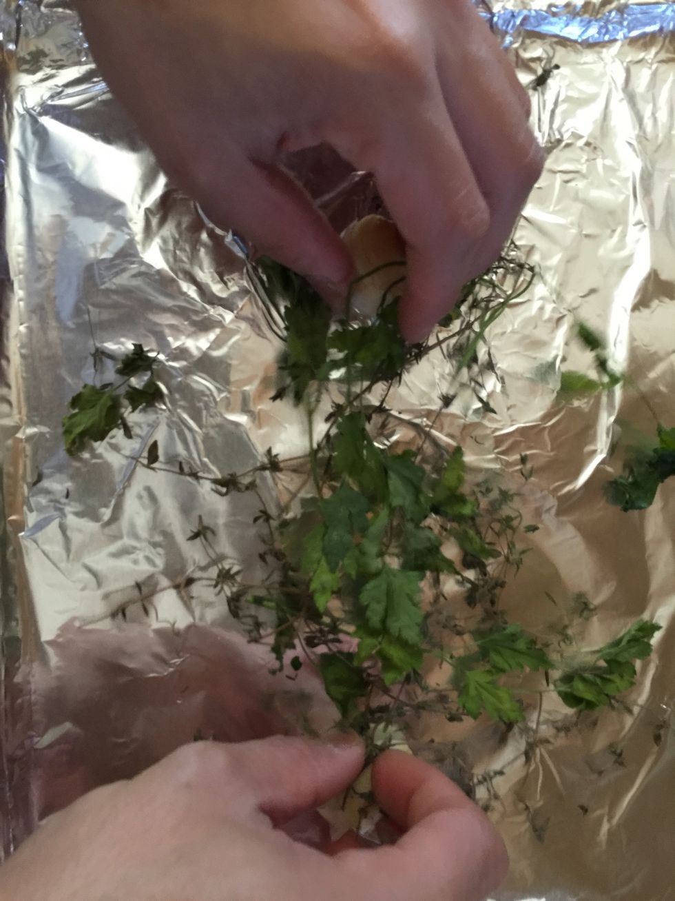 Scatter out your choice of any herbs over your sheet pan.