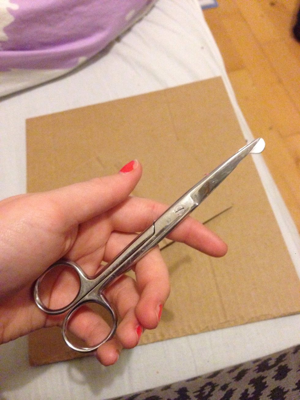 Scissers! \u270c\ufe0f\ud83d\udc95