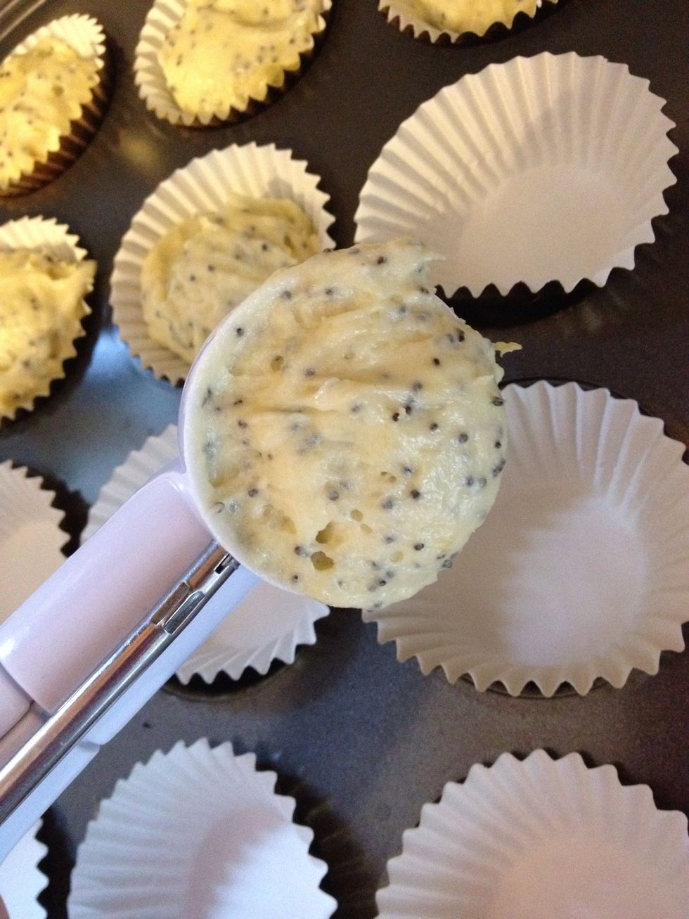 Scoop into cupcake pan.