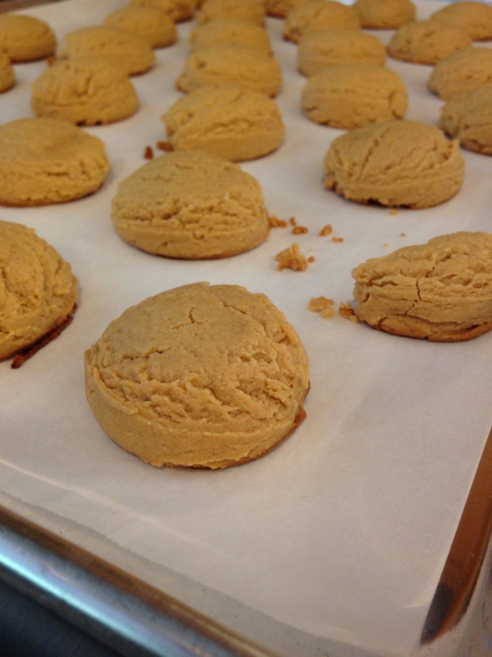 Scoop onto a parchment lined cookie sheet. Lightly flatten with your palm. :) bake for 10-12 minutes at 350 degrees fahrenheit, or until golden brown