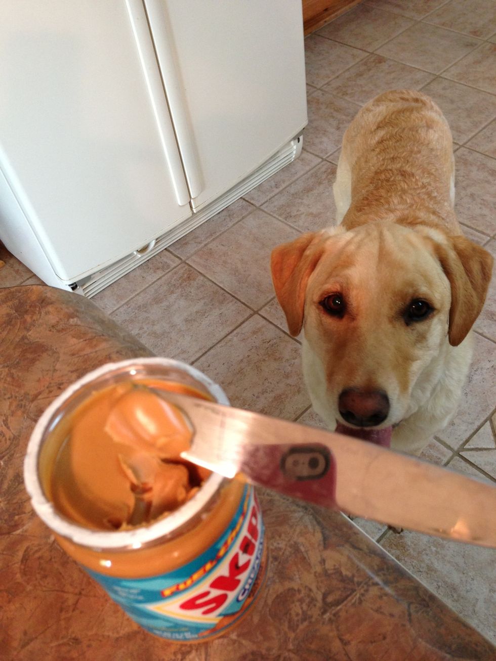 Scoop out a small smidgen of peanut butter.