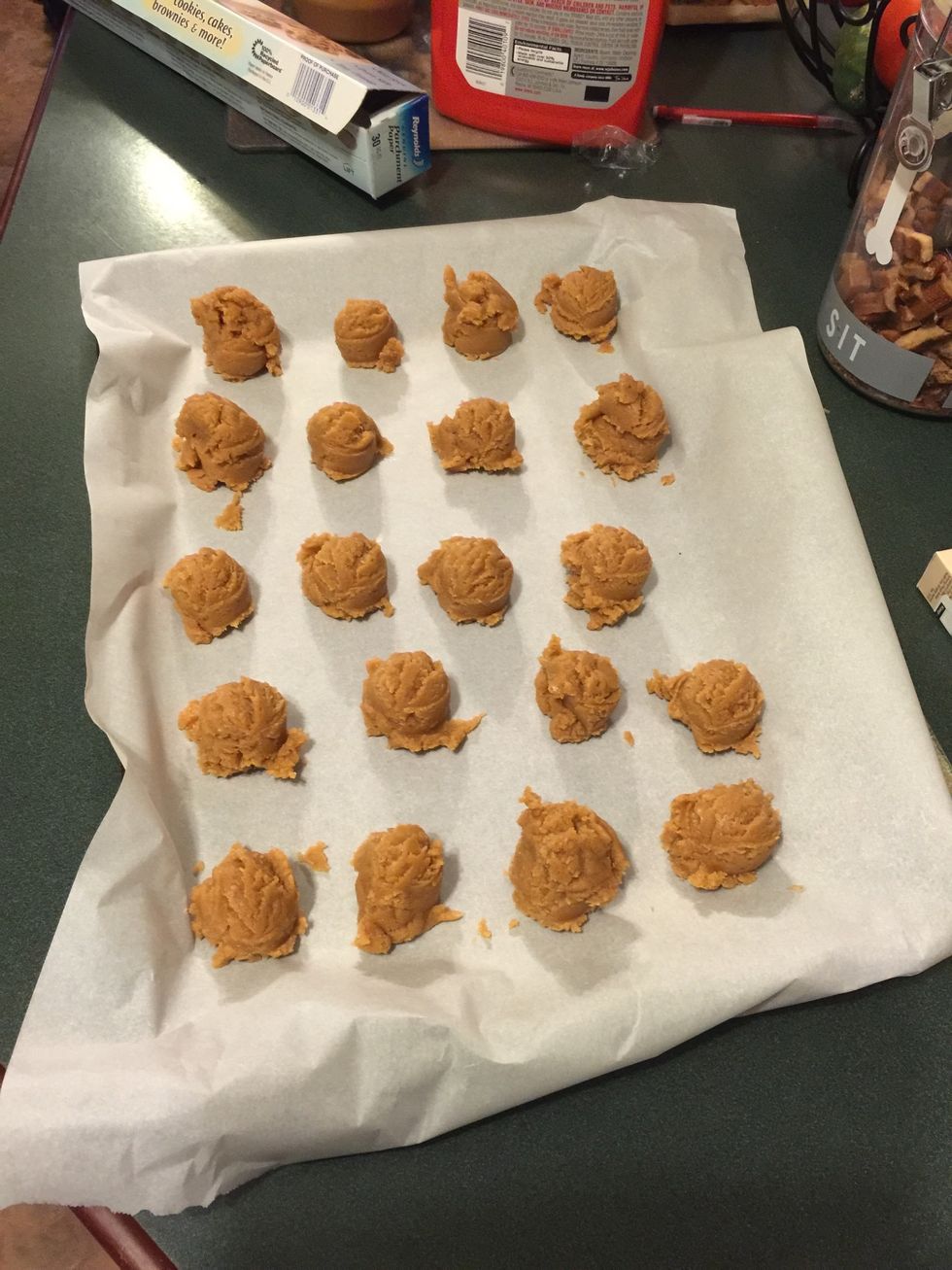Scoop out cookie dough and line up on cookie sheet