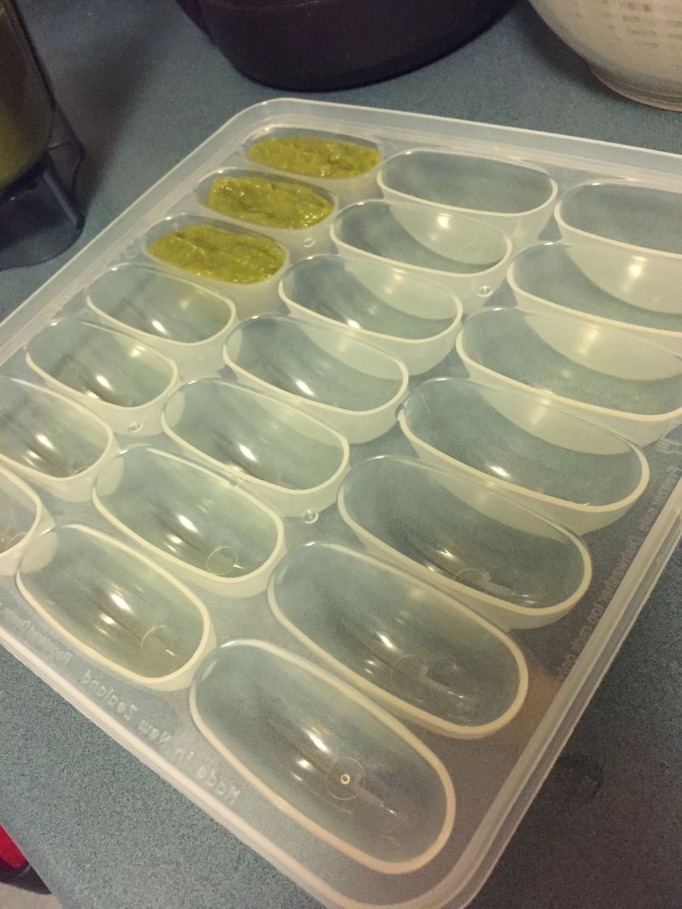 Scoop pur\u00e9e into ice cube trays for storage.