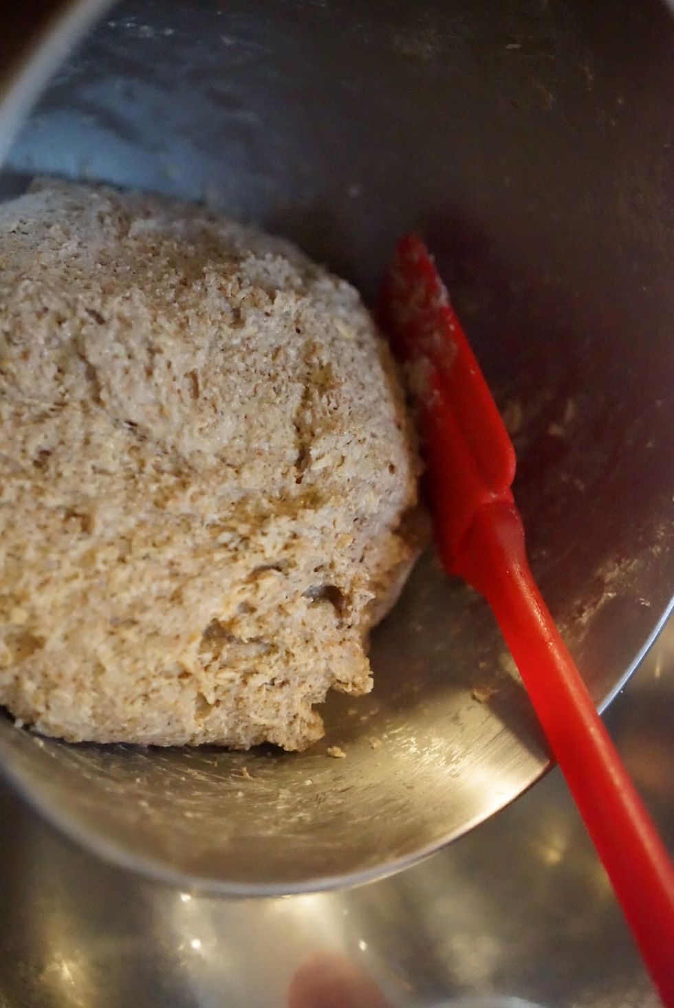 Scrape the dough into the greased bowl.