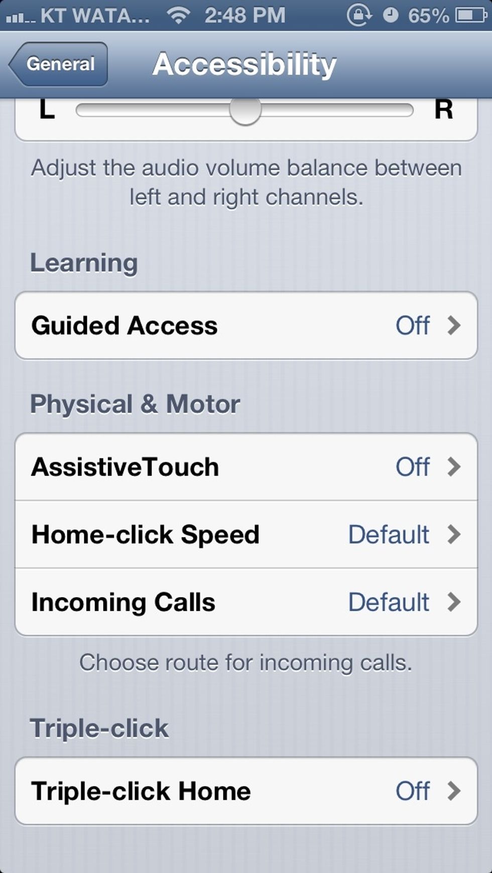 Scroll down and hit Assistive Touch