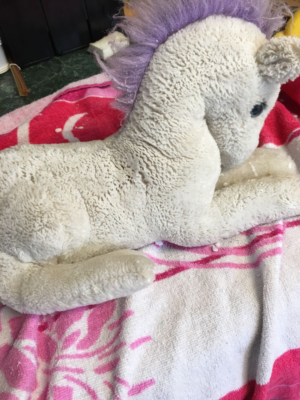 Scrub the entire toy until it is clean as you think you can get it. You don't want to saturate it but don't be afraid of the liquid from the vinegar. When you're done you won't smell it.