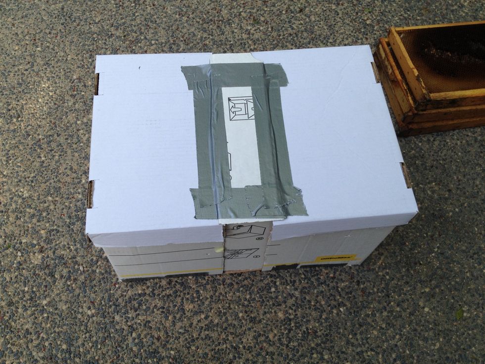 Seal the top with the excess cardboard.