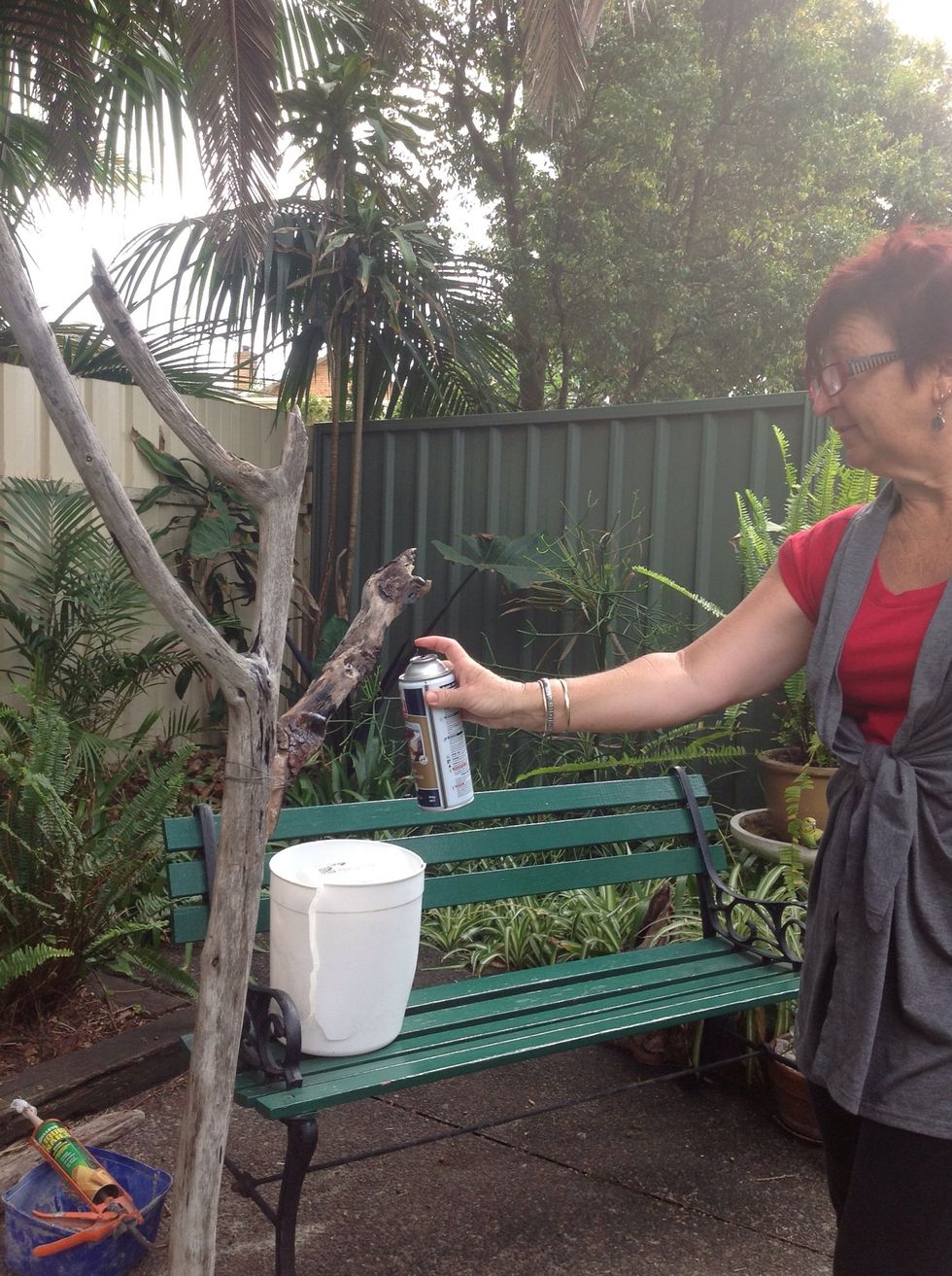 Seal tree with clear lacquer spray