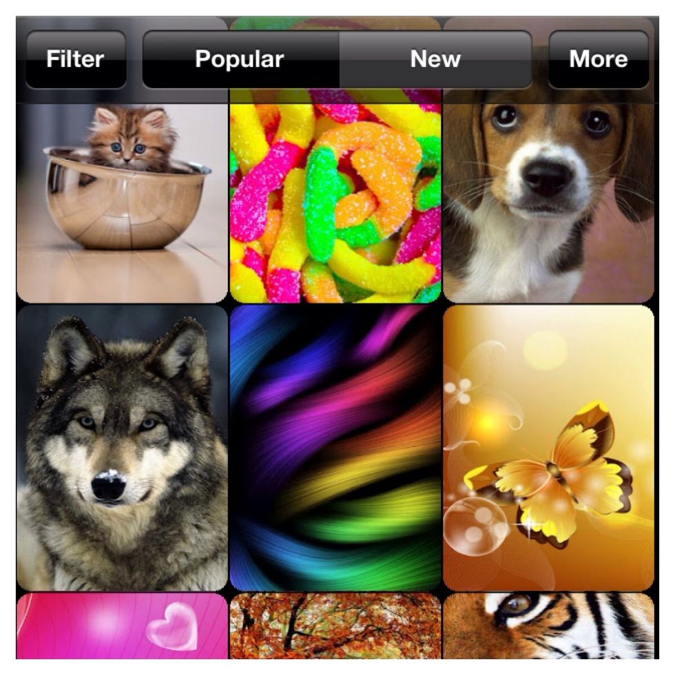 Search for your background through filter(which will give you categories), popular, new or more(where you have the option to search for a specific item/category).