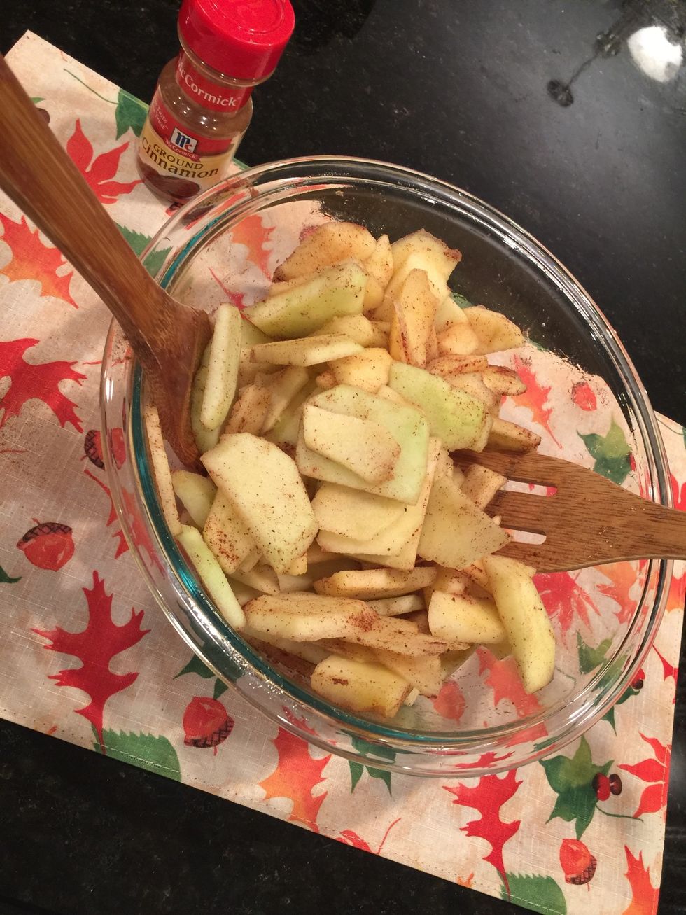 Season apple slices with cinnamon sugar and drizzle with agave nectar. Then assemble in casserole dish.