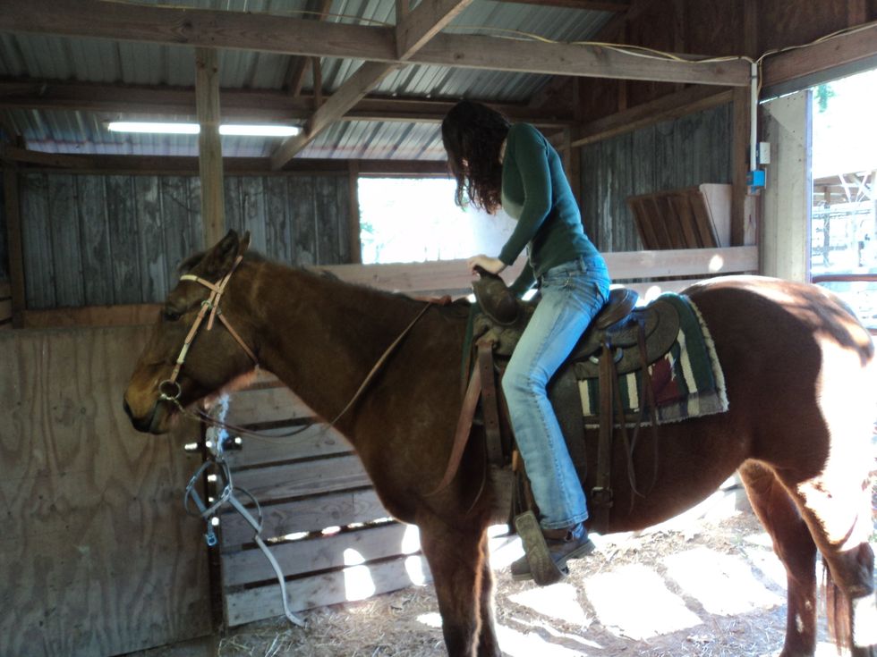 Seat yourself properly in the saddle by putting both feet in the stirrup and holding the reins in your hands to gain control of the horse.