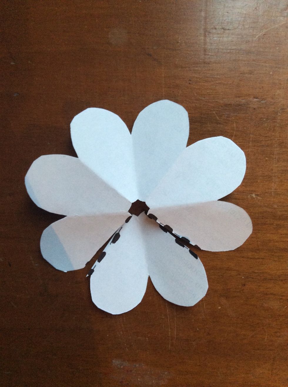 Second flower