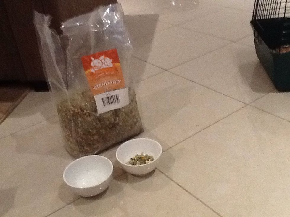 Secondly add as much food you want for you guinea pig (but don't put too much or else it will turn in a big fat furry ball) then add 1 third of water (guinea pigs like to drink water).