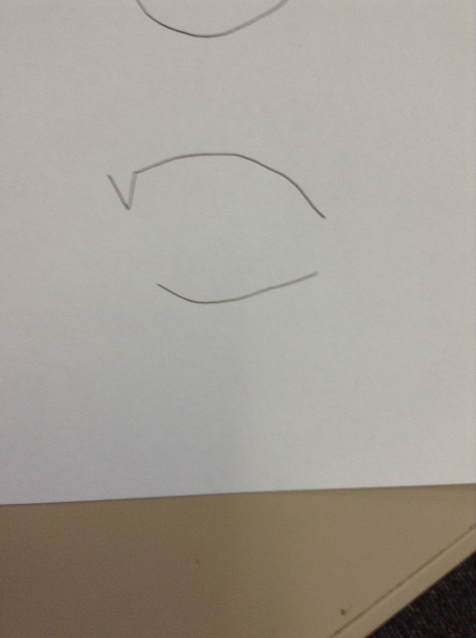 Secondly,draw the same shape at the bottom but without the point.