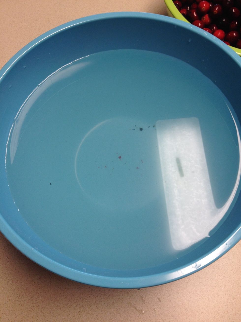 See all the dirt at the bottom?