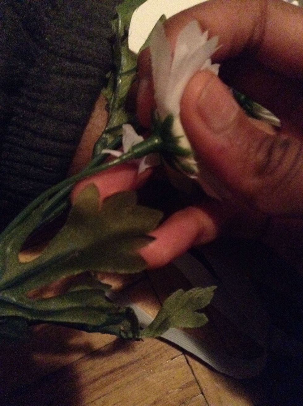 See here? You can pop off the tops from the stem if not detached already! If that section isn't there then cut it off!