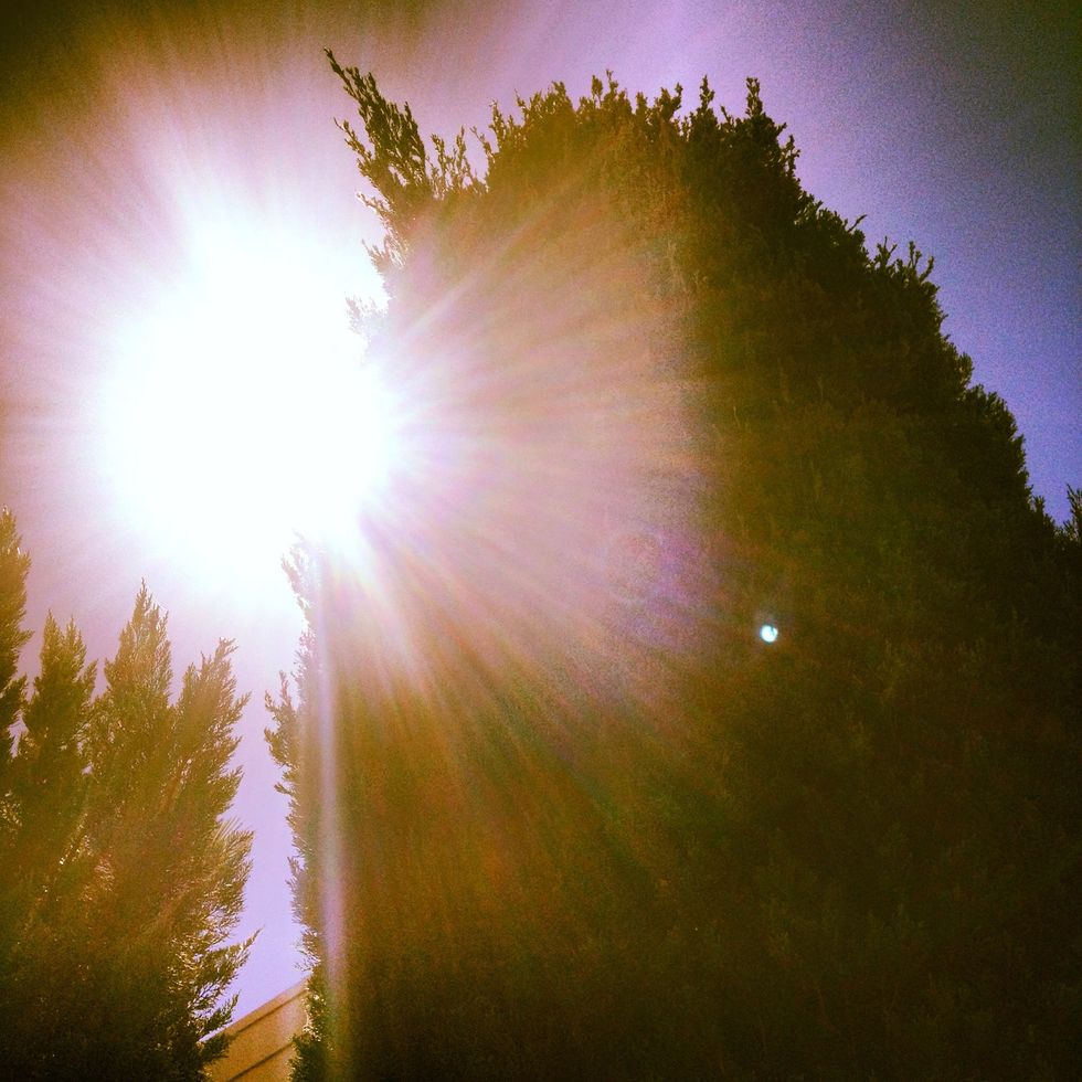 See how the sun shines past the tree adding a great aura?