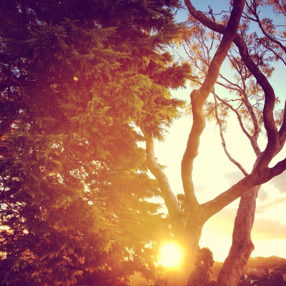 See. The sun makes the whole photo look cool and vintage.