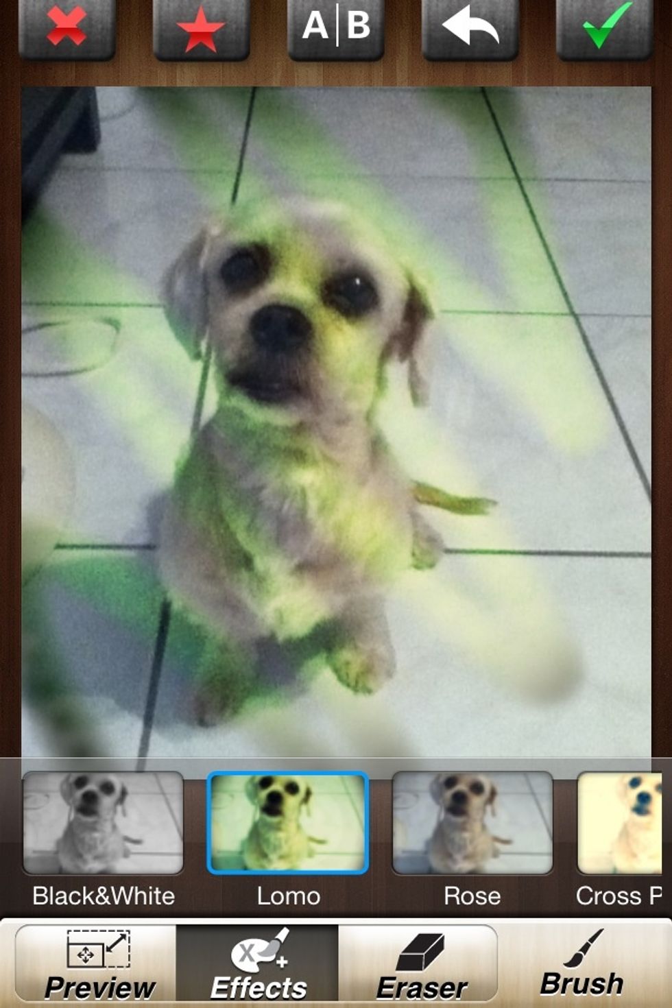 See? This Is The LOMO Effect.