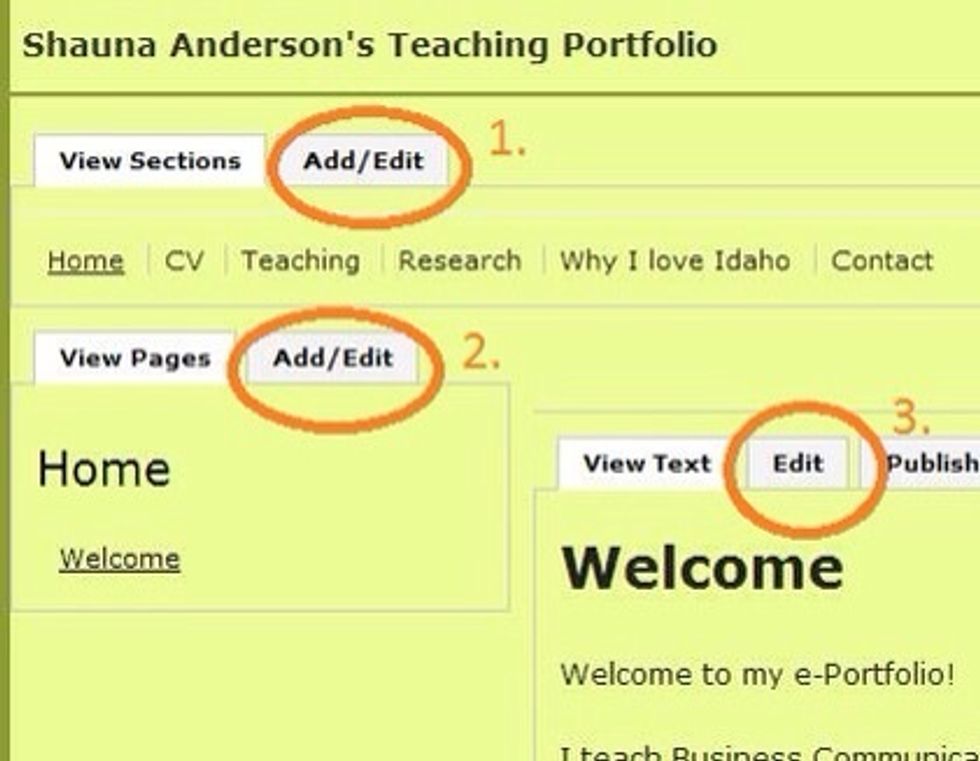Select Add/Edit (1.) to add a section or change the title of a section. Select Add/Edit (2.) to add a page or change the title of a page. Select Edit (3.) change the content of the current page.