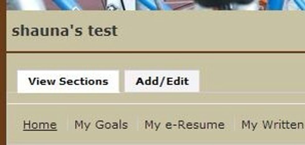 Select Add/Edit to add a section to your portfolio or edit to change the title of a section.
