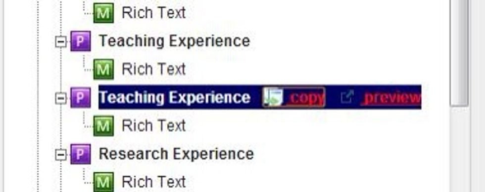 Select Copy. A duplicate of that Section, Page, or Module will appear below the current Section, Page, or Module.